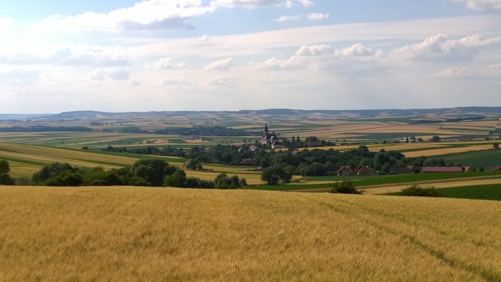 Traubengarten Winkler Niederhollabrunn Exteriör bild
