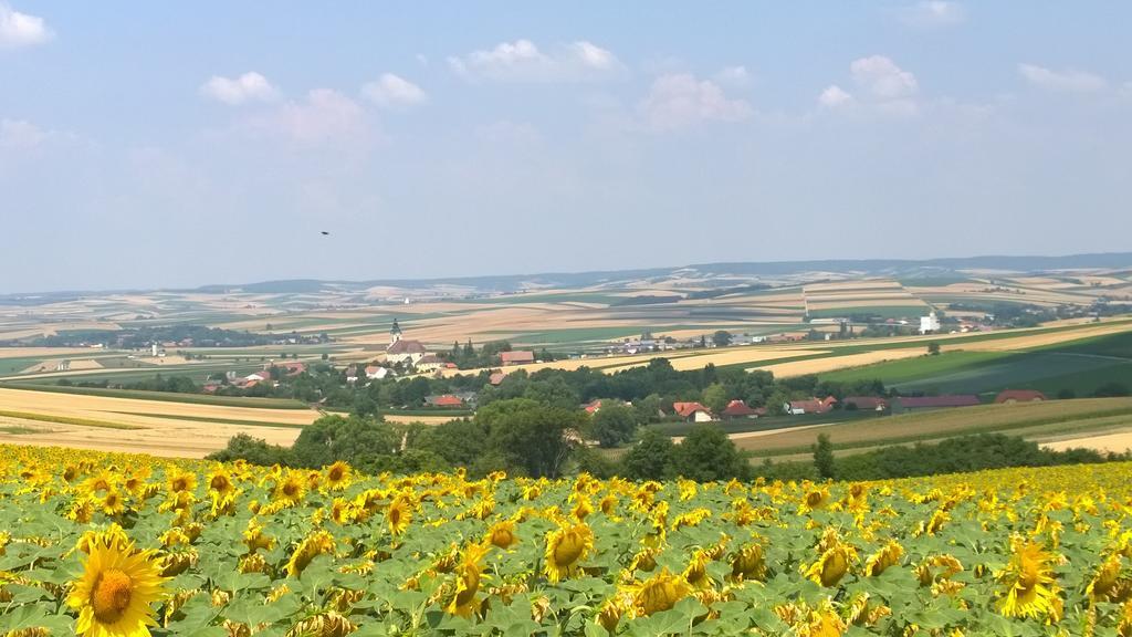 Traubengarten Winkler Niederhollabrunn Exteriör bild