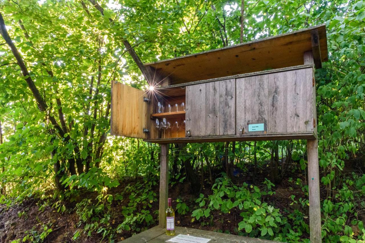 Traubengarten Winkler Niederhollabrunn Exteriör bild